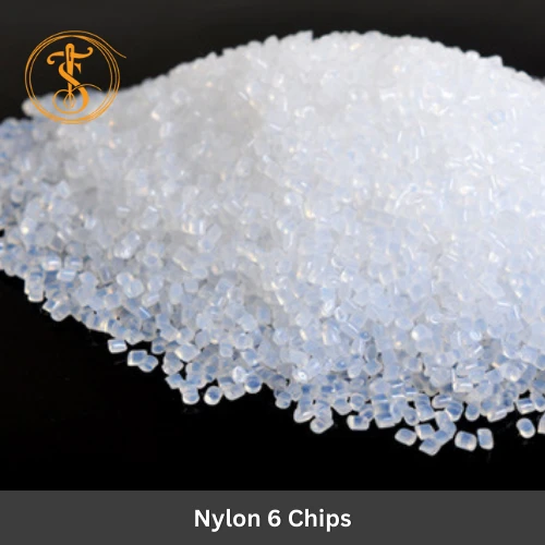 Nylon 6 Chips